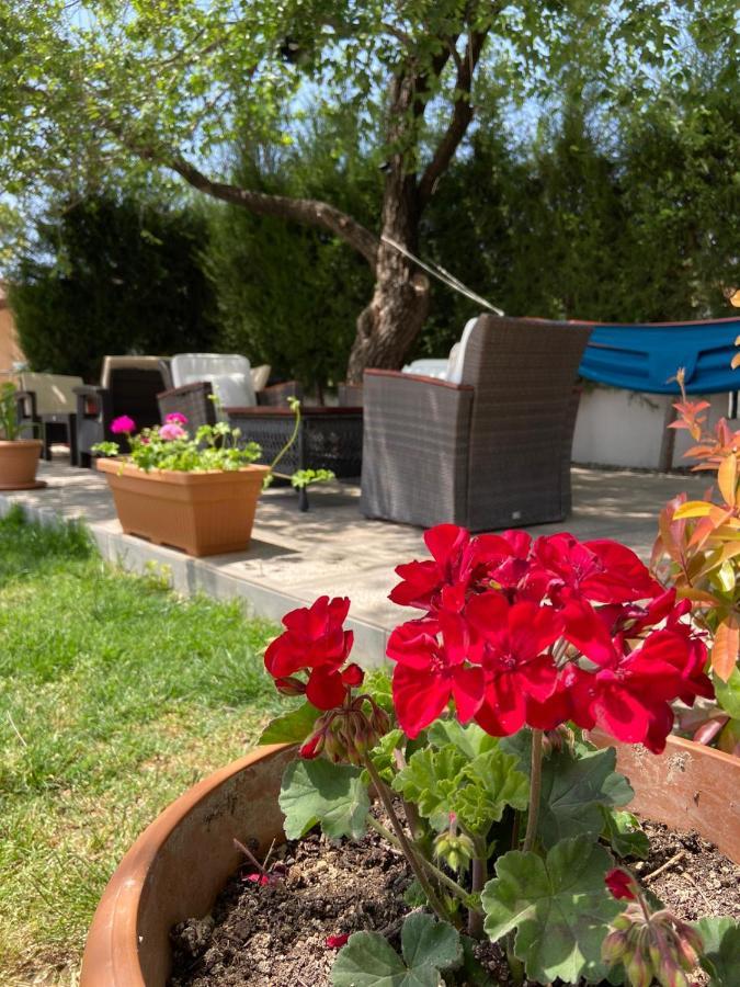Safak Apart & Hotel Dalyan Exterior photo